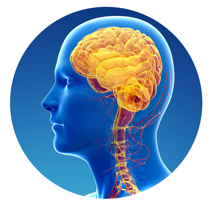 KRANIOSAKRÁLNÍ TERAPIE 