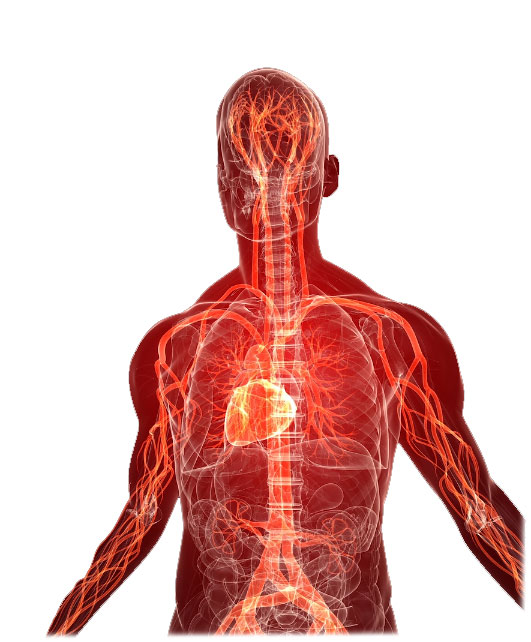 ALTERNATIVNÍ DIAGNOSTICKO-TERAPEUTICKÉ CENTRUM