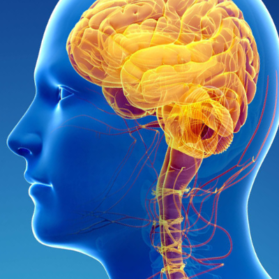 KRANIOSAKRÁLNÍ TERAPIE